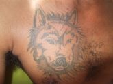 Tattoo Lobo