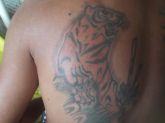 Tattoo Tigre