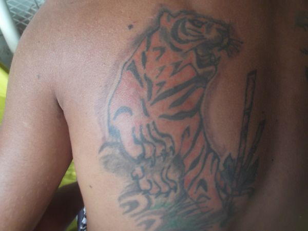 Tattoo Tigre